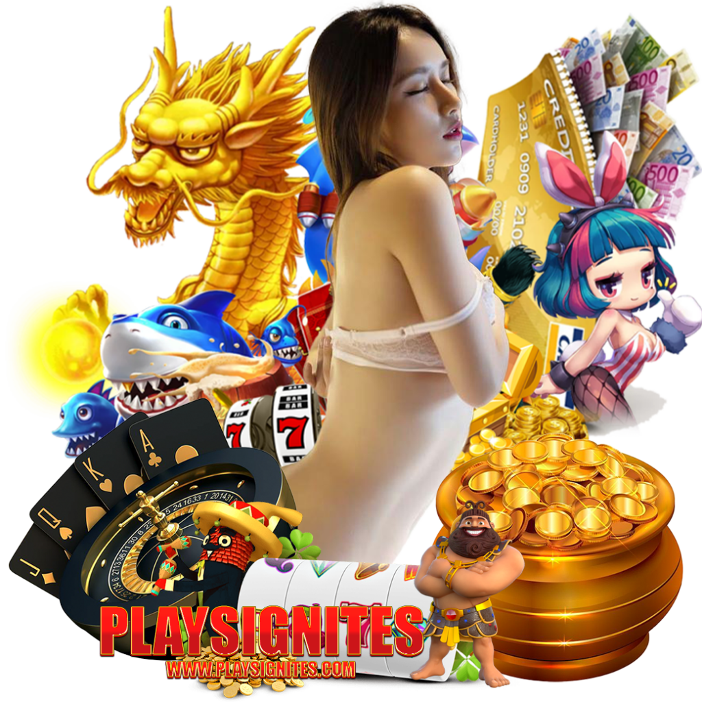 playsignite ทางเข้า 